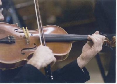 viola1
